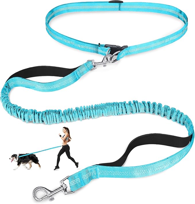 Hands Free Dog Leash, Adjustable Waist Leash for Dog Walking, Dual Handle Bungee Dog 4.2-6.7 Feet Long with Reflective Stitches for Walking Hiking Running, Fits 26"- 43" Inch Waist, Blue