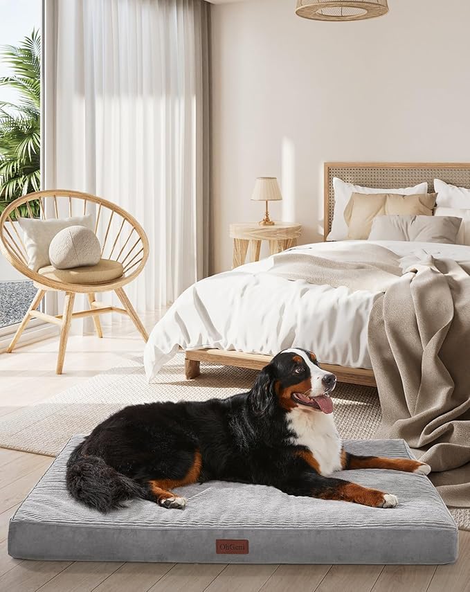 OhGeni Orthopedic Waterproof & Machine Washable Dog Bed for Extra Large Pets, Wider & Larger Size, Cat Mat with 25D Egg Crate Foam, Removable Cover, 54 Inches(Gray)