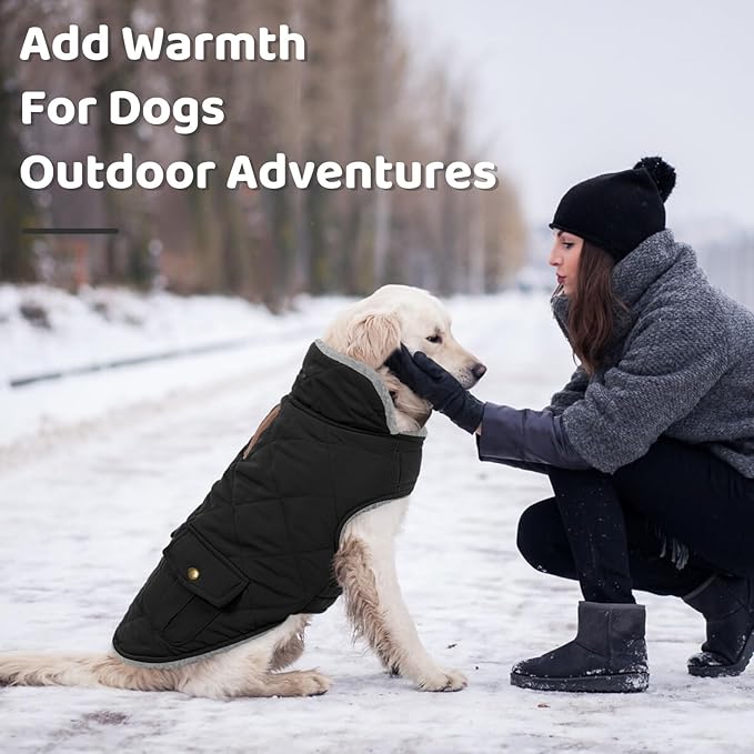 Queenmore Dog Winter Coat Warm Puffer Jacket Waterproof Plush Lining Thermal Cold Weather Vest for Small Medium Large Dogs, Windproof Easy On Pet Jacket Black XS