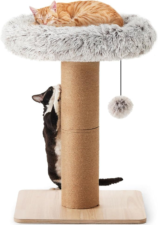 FUKUMARU Cat Scratching Post, 30 Inch Tall Cat Scratcher with Perch for Indoor Cats, Small Cat Tower with Bed and 5.5 Inch Width Post, Cat Tree Furniture for Kittens and Large Cats
