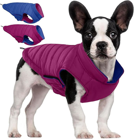 QBLEEV Reversible Dog Coat, Warm Dog Winter Coat for Medium Dogs, Lightweight Windproof Padded Vest for Dogs, Waterproof Adjustable Puffer Cold Weather Jacket for French Bulldog Beagle, Violet, M