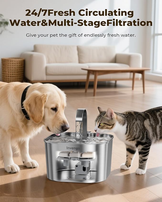 Cat Water Fountain Stainless Steel: 74oz/2.2L Cat Fountain for Drinking | Quiet Cats Water Bowl Dispenser | Pet Water Fountain for Cats Inside | Easy-to-Clean Kitty Drinking Fountains for Small Pets