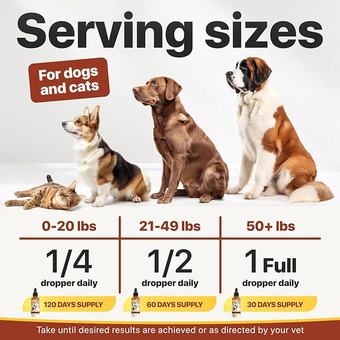 Charlie Buddy - Hеmp Oil for Dogs Cats - Hip and Joint Support and Skin Health - Anxiety, Calm, Pain - Omega 3, 6, 9 and Vitamins B, C, E