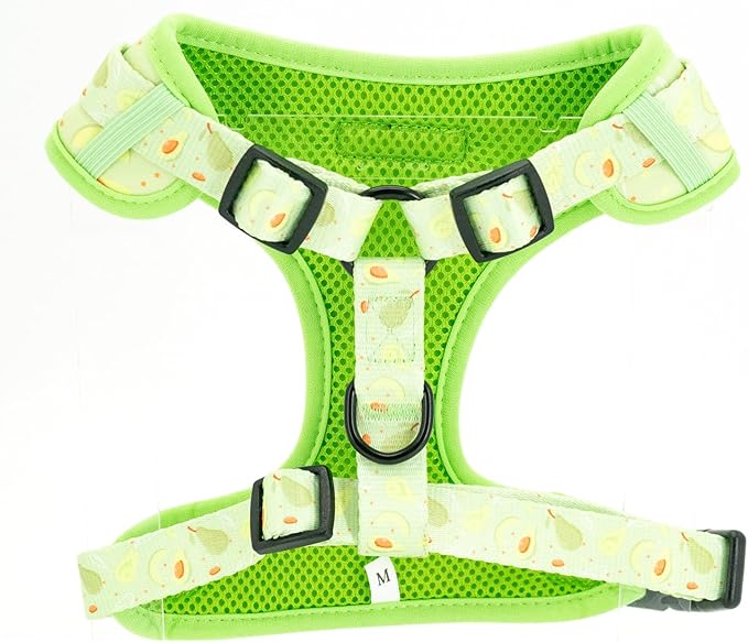 Dog Harness and Leash Set, Adjustable Dog Harness, Dog Leash, No Pull No Choke Puppy Harnesses for Walking Training for Small Medium Pet