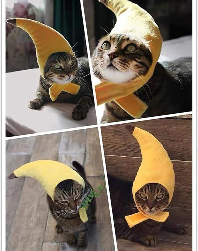 5 Pcs Cat Costume Hats - Banana Frog Lion Bunny Brown Bear Headwear for Cats, Kitten Puppy Party Easter Costume Accessory Headwear(Adjustable Breathable Design)