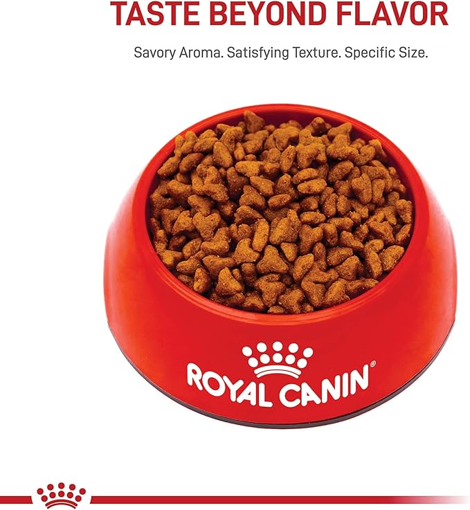 Royal Canin Breed Health Nutrition Pug Puppy Dry Dog Food, 2.5 lb Bag