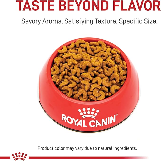 Royal Canin Feline Breed Nutrition American Shorthair Adult Dry Cat Food, 5.5 lb Bag