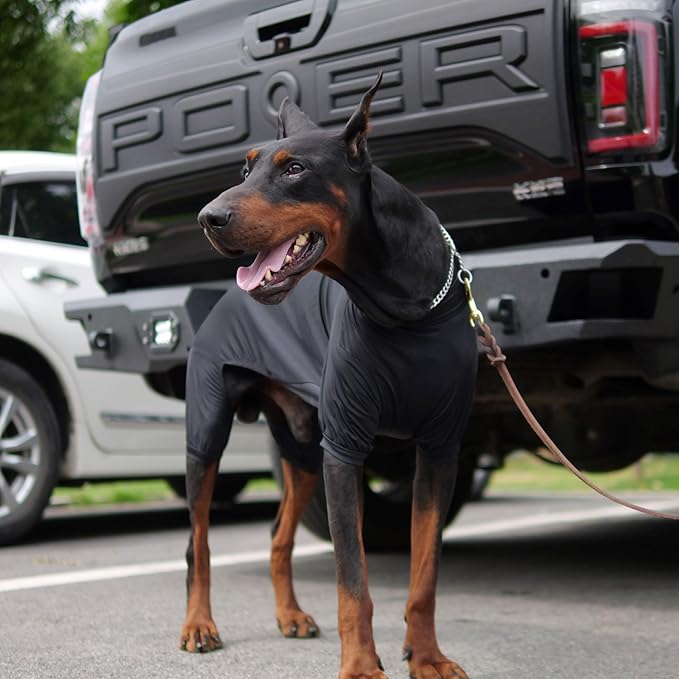 LoveLongLong Dog Jumpsuit with UV Protection and Quick-Dry Fabric for Spring Summer Pet Pajamas Black L