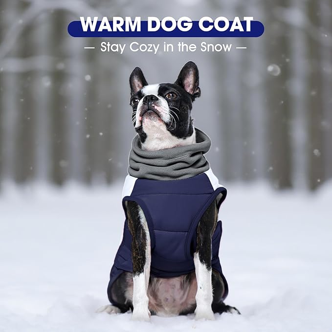 FUAMEY Winter Coat for Dogs Navy XS, Puppy Jacket Small Dogs Fast Dress for Outdoor Cold, Hook & Loop, Dressing Easy,(XS-Navy)