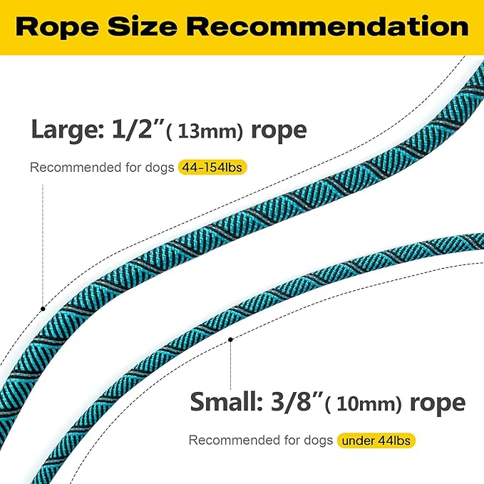 Fida Durable Heavy Duty Slip Leash Bulk Pack of 5, 6 FT Comfortable Strong Rope for Large, Medium & Small Dogs - No Pulling Pet Training Leash with Highly Reflective (Blue)