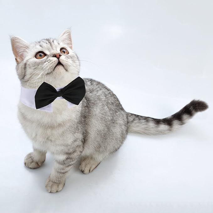 Shappy 3 Pieces Dog Cat Bow Tie Pet Costume Cat Wedding Bowtie Formal Dog Collar Adjustable Necktie Collar for Cat Small Puppy Grooming Accessories