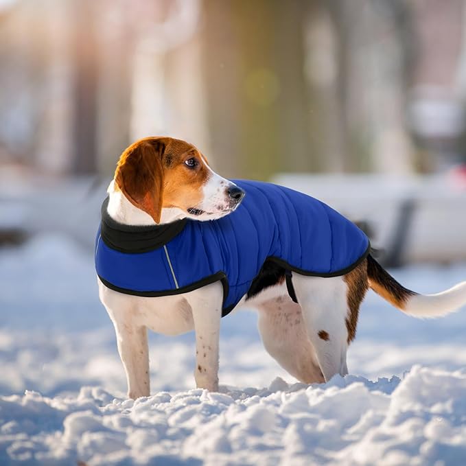 IDOMIK Waterproof Dog Winter Coat, Reflective Warm Dog Puffer Jacket with Harness Hole, Adjustable Lightweight Snow Jacket with Turtleneck, Pet Cold Weather Coats for Small Dogs,Blue,S