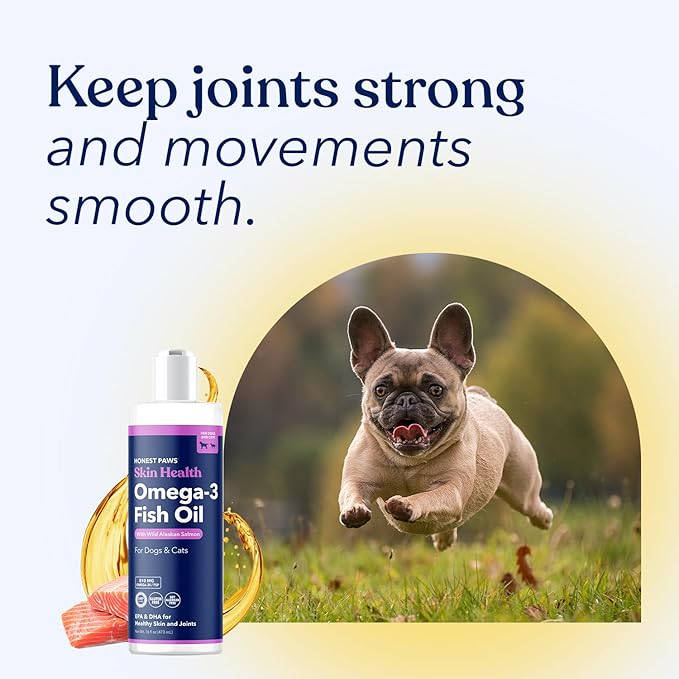 Honest Paws Wild Alaskan Salmon Oil for Dogs & Cats – Omega 3 Fish Oil Supplement for Skin, Coat, Joint & Heart Health – Natural, Sustainably Sourced, 16 oz