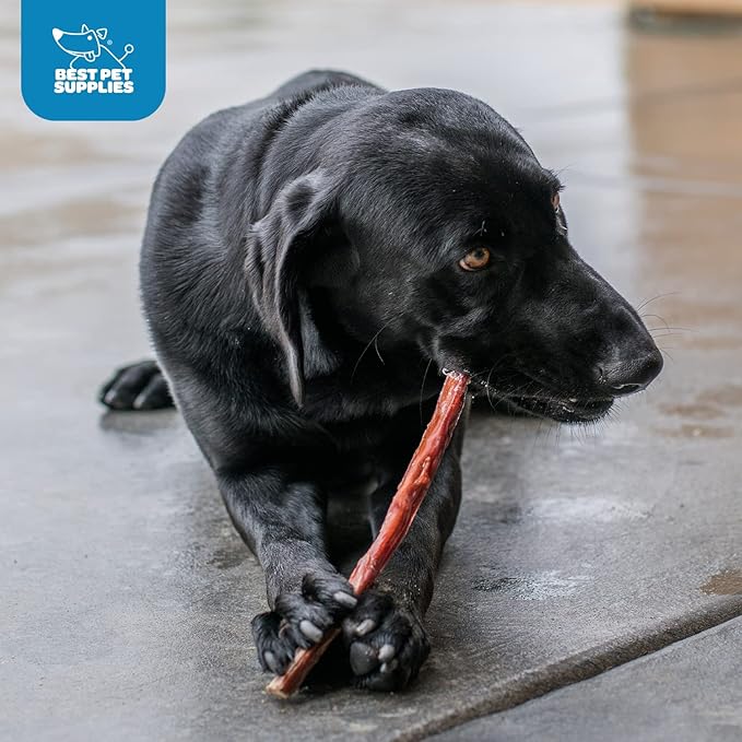 GigaBite Single Ingredient All Natural Free Range Bully Treats and Chews - Bully Sticks/Bladder Sticks/Beef Esophagus by Best Pet Supplies - Bully Sticks (Half-cut 12"), Pack of 10