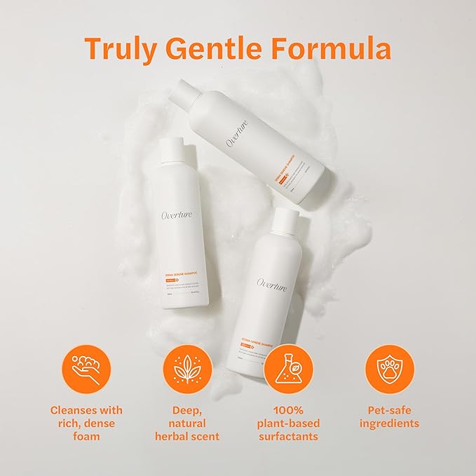 ODAC Overture Derma Serene Pet Shampoo, Gentle, Skin Friendly with Winter Cherry Root & Korean Patchouli, Rich Lather & Herbal Freshness, for Dogs & Cats, 10.14 fl oz Korea Beauty Pet Skincare