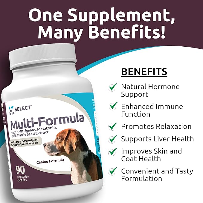 K9 Select Multi-Formula Dog Vitamins for Medium Dogs - 20mg HMR Lignans, 2mg Melatonin, 40mg Milk Thistle - Helps Heart, Liver, Digestion & Coat Health, Dog Multivitamin, 90 Capsules