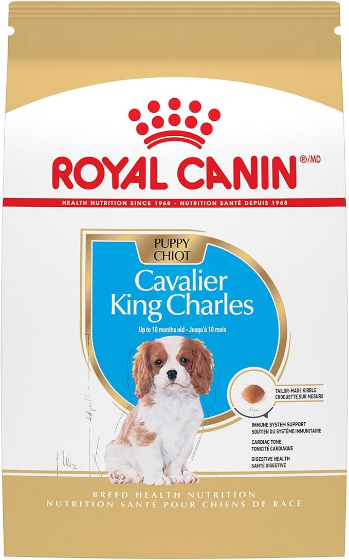 Royal Canin Breed Health Nutrition Cavalier King Charles Spaniel Puppy Dry Dog Food, 3 lb Bag
