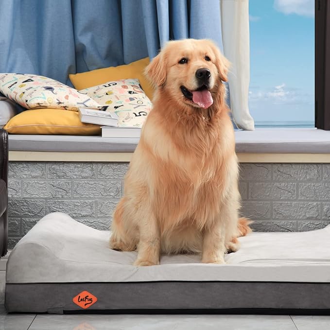 Laifug Orthopedic Memory Foam Dog Bed Extra Large Dog Bed with Pillow and Durable Water Proof Liner & Removable Washable Cover & Smart Design(Dark Grey)