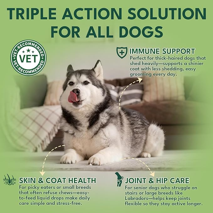 Liquid Collagen for Dogs, Natural Dog Collagen for Skin & Coat Support, Immune Support, Joint & Mobility Care with MSM, Middle-Aged and Older Dogs (Bacon Flavor - 60ml)