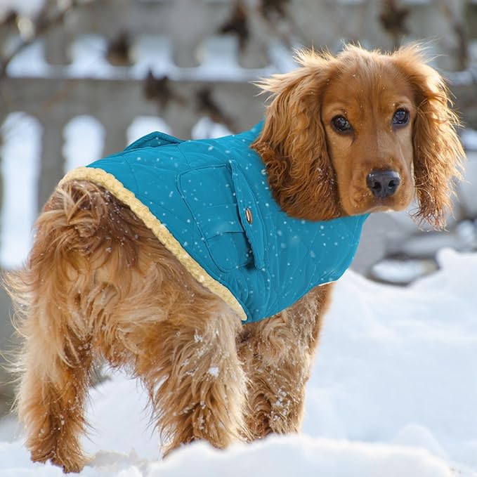 Queenmore Dog Winter Coat Warm Puffer Jacket Waterproof Plush Lining Thermal Cold Weather Vest for Small Medium Large Dogs, Windproof Easy On Pet Jacket Blue S