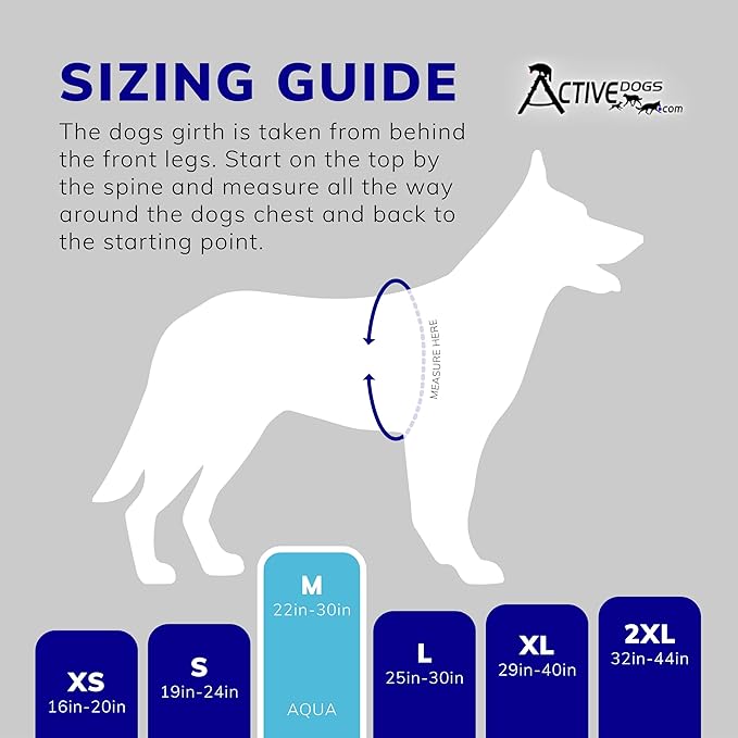 ActiveDogs Full Service Dog Kit - Medium Aqua - Vest Harness with Handle, ID, ID Holder, ADA Service Dog Cards, Medical Alert Keychain, Leash & Patches