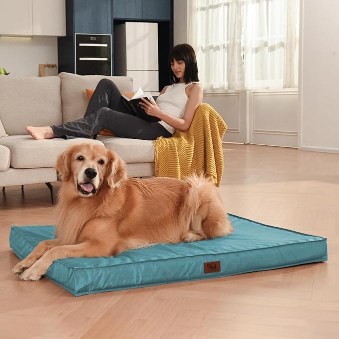 Orthopedic Dog Bed for Medium Dogs - Waterproof & Machine Washable Pet Bed with Egg Crate Foam, Removable Cover for Easy Cleaning, for Indoor & Outdoor Use, 30x20 Inch, Light Blue