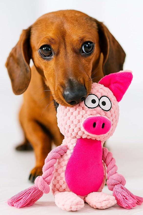 Cotton Rope Squeaky Dog Toy with Crinkle Paper – Interactive Plush Chew Toy for Small & Medium Puppies, Pig Design