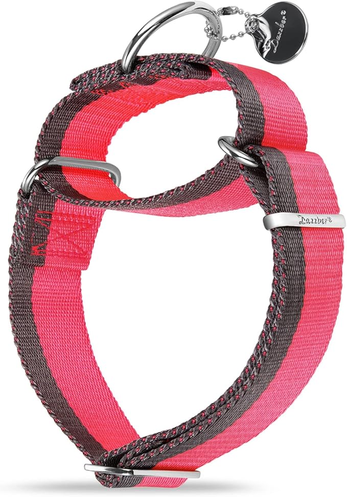Martingale Collar 1.5 Inch Wide 1200D Extra Strong Nylon Dog Collar, No Pull Heavy Duty Dog Collar with 2-Color Stripe for Medium to XLarge Dogs (Medium, 1 1/2 Inch Wide, Hot Pink & Grey)