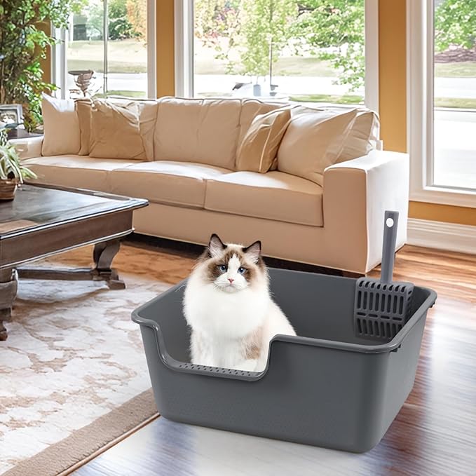 Readsky Large Cat Litter Box with High Sides, Open Top Cat Litter Tray with Scoop, 4-Pack, Gray