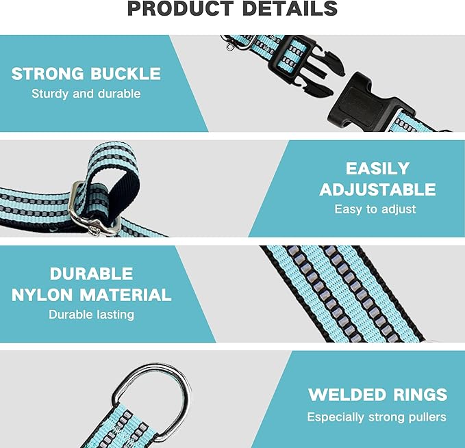 Hikiko Martingale Dog Collars Reflective Nylon Dog Collar with Quick Release Buckle Adjustable Training No Slip Dog Collar (Large, Sky Blue)