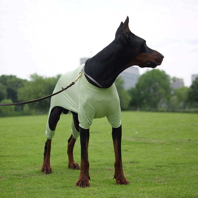 LoveLongLong Dog Jumpsuit with UV Protection and Quick-Dry Fabric for Spring Summer Pet Pajamas Light Green L