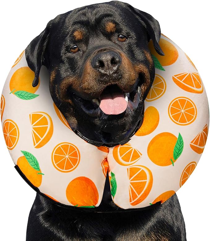 MIDOG Inflatable Dog Cone Alternative for After Surgery - Soft Protective Donut Collar Prevents Licking, Comfortable Recovery E-Collar Alternative for Small Medium Large Dogs (Orange,XL)