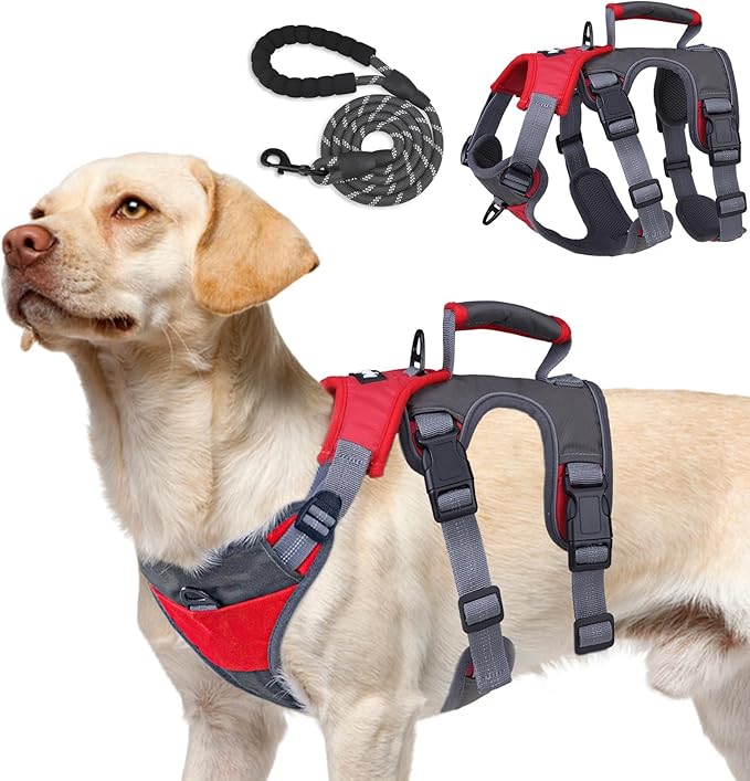 PUPTECK Escape Proof Dog Harness and Leash Set Upgraded No Pull Reflective Dog Vest with Lift Handle, Easy Control Pet Harness for Medium Large Dogs Training Walking Running