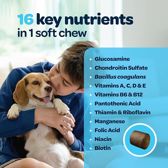 12-in-1 Complete Multivitamin for Dogs | Dog Multivitamin Chewable with Glucosamine Chondroitin & Digestive Probiotics for Dogs of All Ages and Sizes | NASC Certified & Made in The USA | 60 Chews