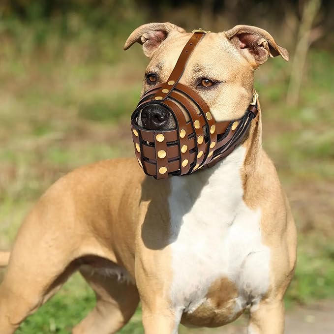 OOPSDOGGY Pitbull Dog Muzzle for Large Dogs - Leather Breathable Secure Basket Muzzle for Medium Large Breeds Prevents Biting No Chewing Amstaff Staffordshire Terrier (Brown, Size 4 - Pitbull)