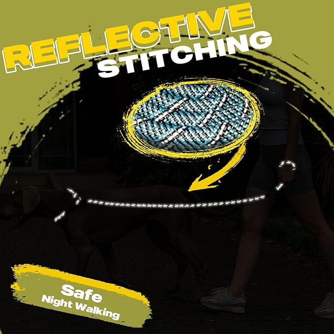 Fida Durable Slip Lead Dog Leash, 6 FT x 1/2" Heavy Duty Loop Comfortable Strong Rope Leash for Large, Medium Dogs, No Pull Pet Training with Highly Reflective, Blue