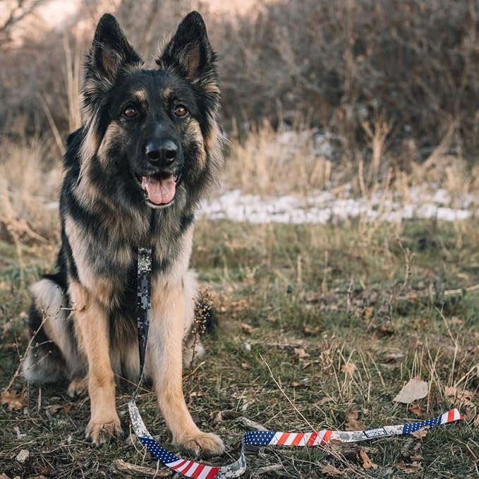 Wolfgang Heavy Duty Martingale Dog Collar with Quick Release Nylon Buckle for Walking & Training, DigitalDog Print, Small