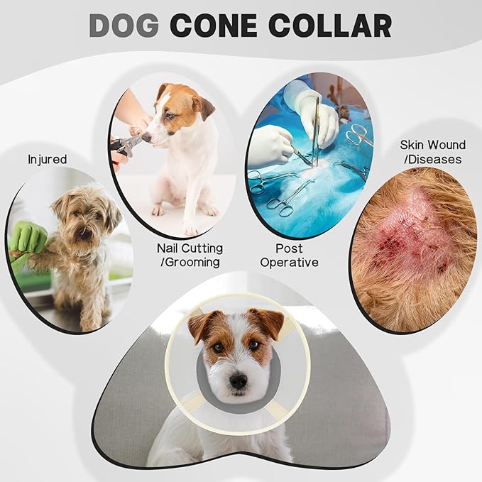 Soft Dog Cone Collar to Stop Licking-Adjustable Comfortable Mesh Recovery Collar After Surgery for Small or Miniature Dogs, Alternative to Plastic Elizabethan Collar for Neuter Incision Care (Grey,L)