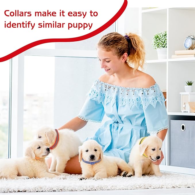 36 Pcs Reflective Puppy Collar and Leash Set, Dog Collar and Leash Adjustable Puppy Collars Quick Release Clip Buckle Dog Collar for Small Medium Dogs Walking Training