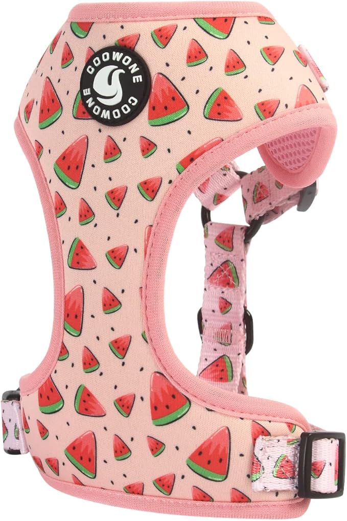 Dog Harness and Leash Set, Adjustable Dog Harness, Dog Leash, No Pull No Choke Puppy Harnesses for Walking Training for Small Medium Pet