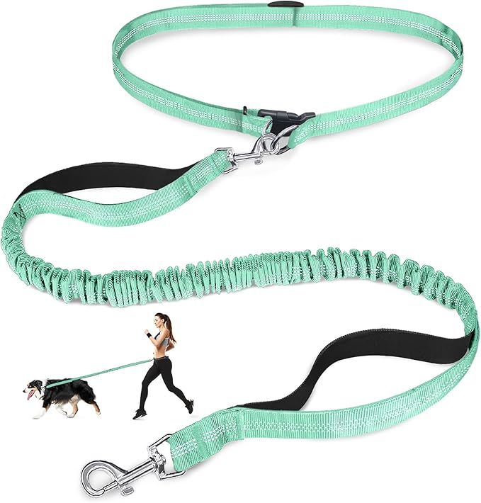 Hands Free Dog Leash, Adjustable Waist Leash for Dog, Handle Bungee 4.2-6.7 Feet Long with Reflective Stitches for Walking Hiking Running, Fits 26"- 43" Waist, Mint Green