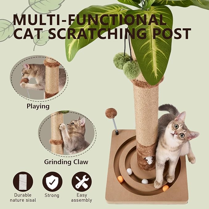 MECOOL Cat Scratching Post Sturdy and Premium Scratch Posts with Hanging Ball and Ball Track Toy Cute Cat Tree 30in for Indoor Kittens