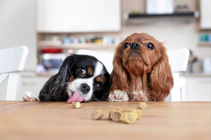 Hive Dog Training Treats 2 Pack — Healthy, Non-GMO Project Verified, Natural Peanut Butter Flavored, Vegetarian, Grain Free Dog Treat for Small and Large Dogs, Made in The USA