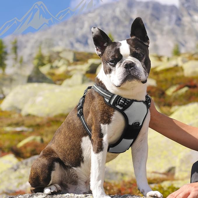 Eagloo Dog Harness Medium Sized Dog, No Pull Service Vest with Reflective Strips and Control Handle, Adjustable and Comfortable for Walking, No Choke Pet Harness with 2 Metal Rings, Grey, M