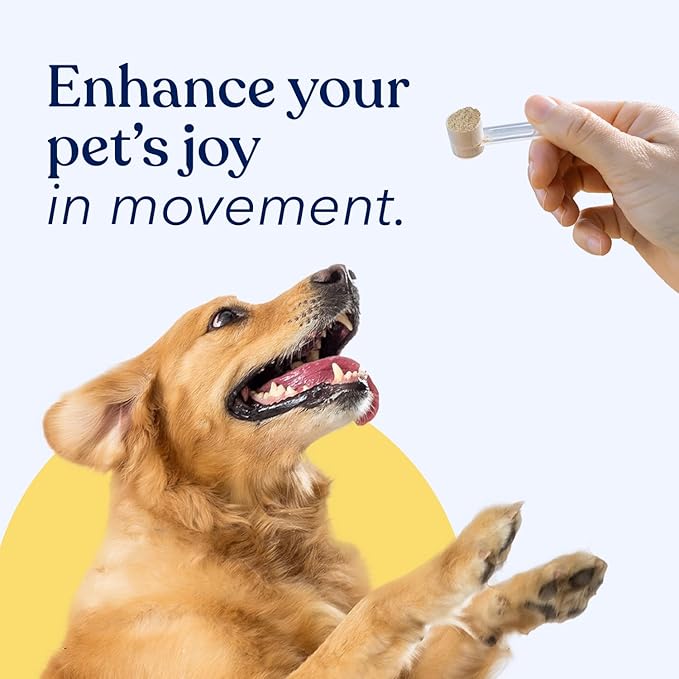 Honest Paws Joint Supplement for Dogs - Supports Mobility, Hip & Joint Health, Eases Stiffness - Glucosamine, Green Lipped Mussel, Fish Oil, Chondroitin Sulfate, MSM, Vitamin C