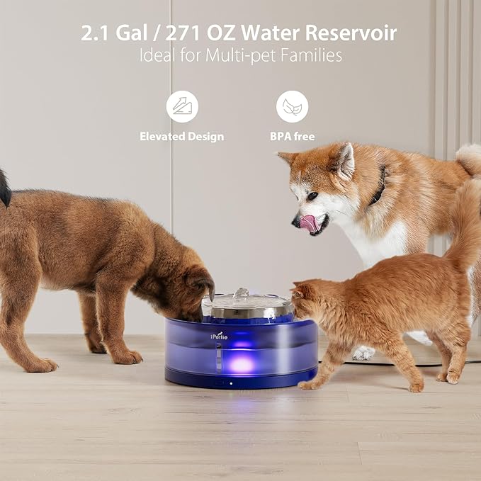 iPettie Cake Dog Water Fountain, 8L/2.1Gal Large Capacity Automatic Dispenser, Wireless Pump Filtered Waterer Purifier with BPA-Free Stainless Steel Bowls, Dishwasher Safe, Blue