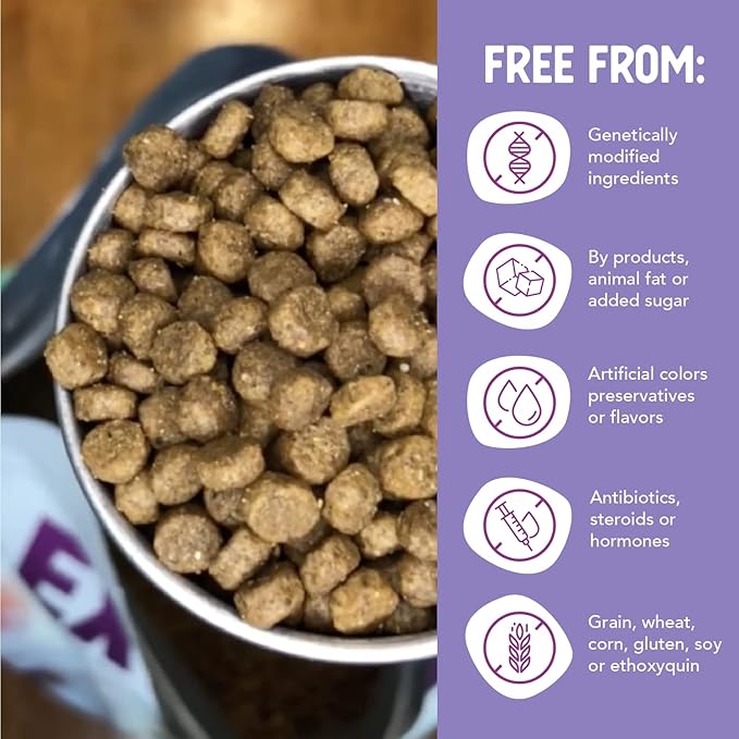 Health Extension Grain Free Chicken & Turkey Little Bites (12 lb / 5.44 kg) - Whole Foods Ingredients Formula with Probiotics & Antioxidants for Small Dogs