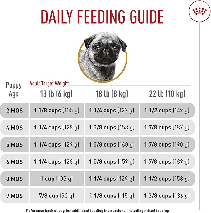 Royal Canin Breed Health Nutrition Pug Puppy Dry Dog Food, 2.5 lb Bag