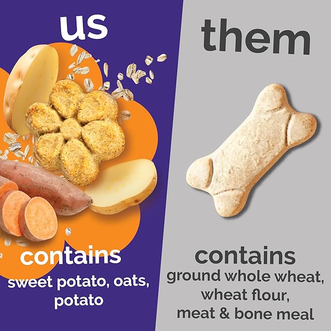 Fruitables Baked Dog Treats, Healthy Pumpkin Treat for Dogs, Low Calorie & Delicious, Free of Wheat, Corn and Soy, Made in the USA, Sweet Potato and Pecan Flavor, 7oz