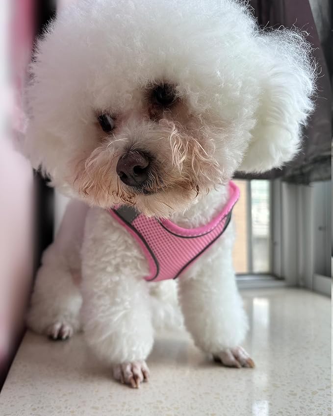 Solmoony Dog Harness and Leash Set for Small to Large Dogs - No Pull, Step-in, Mesh Design (Pink, XXS)